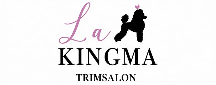 La Kingma